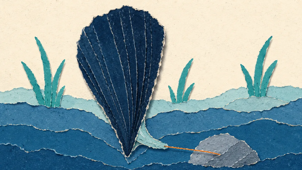 Sezione di una nacchera con il piede che secerne un filamento dorato verso una roccia, in stile collage di carta