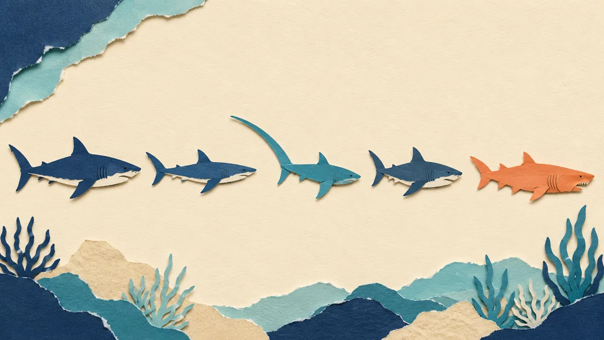 Cinque sagome di squalo in fila su carta strappata: bianco, mako, volpe, smeriglio in blu, e lo squalo toro evidenziato in arancione come l'unico diverso.