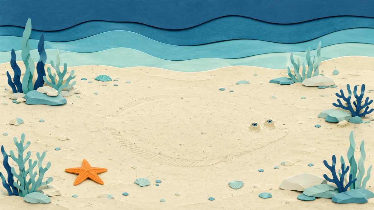 Illustrazione papercut di un fondale sabbioso apparentemente vuoto con la sagoma di un pesce piatto appena visibile sotto un velo di sabbia