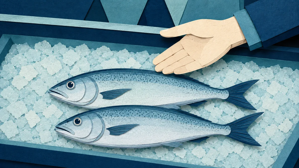Illustrazione papercut di due pesci quasi identici affiancati sul ghiaccio con una mano che li confronta