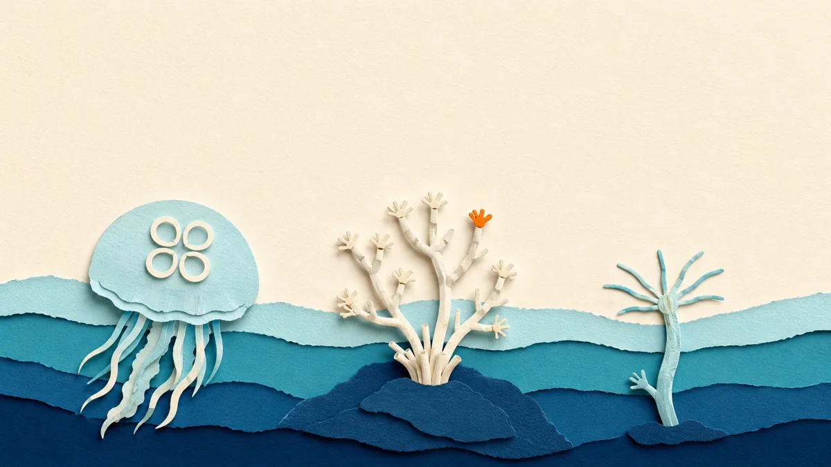 Illustrazione papercut di tre creature marine in fila: una medusa quadrifoglio, una colonia di polipi su uno scoglio e una piccola idra, con una gemma arancione