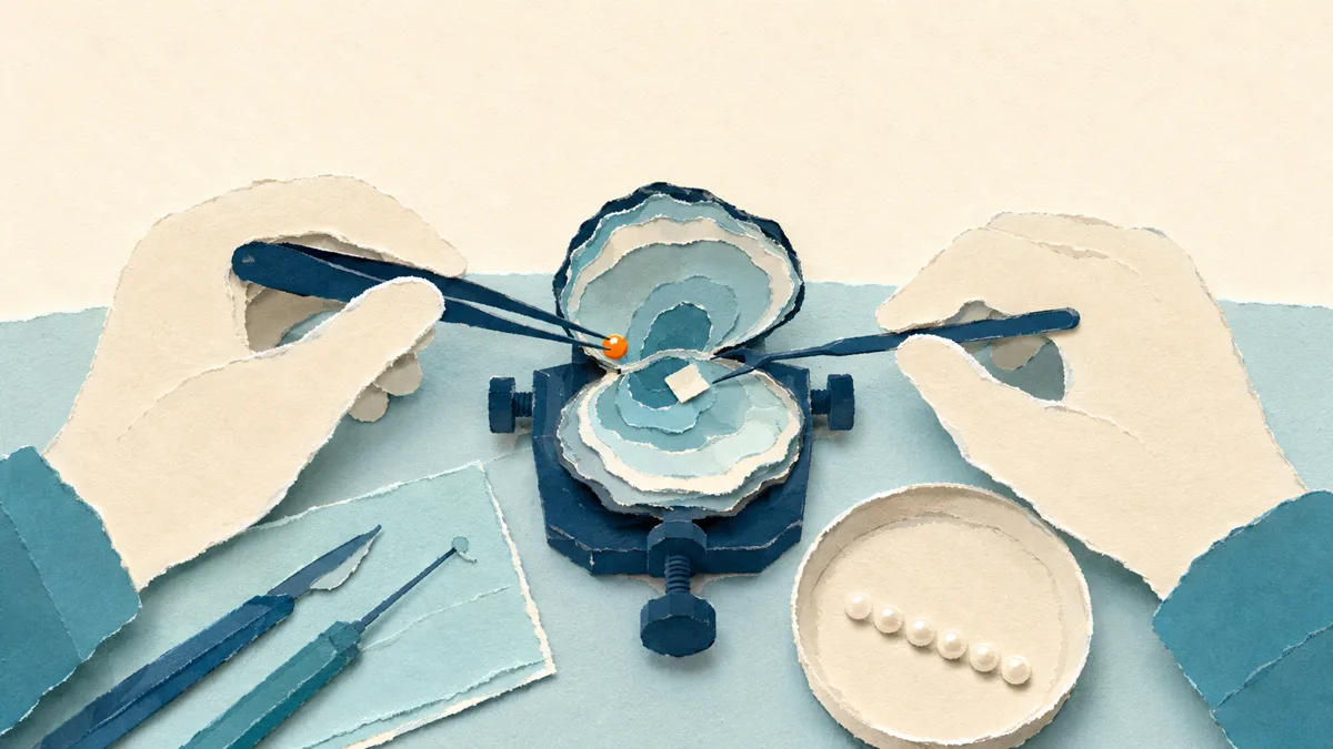 Illustrazione papercut di un banco d'innesto: due mani con pinzette inseriscono un nucleo e un frammento di tessuto in un'ostrica aperta