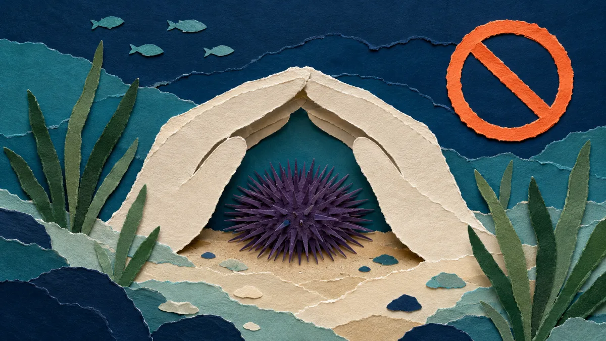 Illustrazione papercut di un riccio di mare protetto da uno scudo, con un cartello di divieto, a tema tutela e fermo pesca