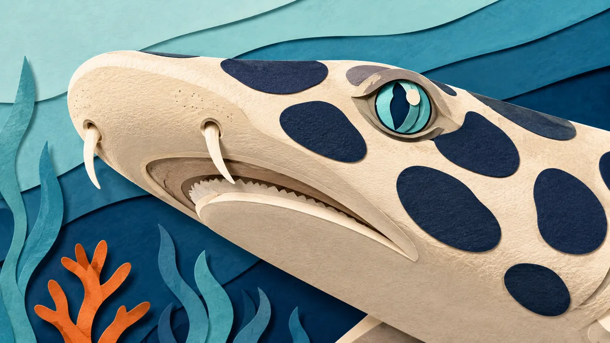 Illustrazione papercut ravvicinata del muso di un gattopardo, con i corti barbigli vicino alle narici e le macchie larghe e distanziate