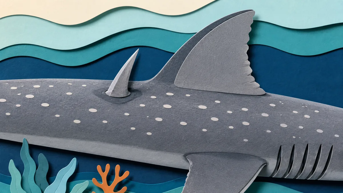 Illustrazione papercut in primo piano del dorso di uno spinarolo con la spina davanti alla pinna dorsale