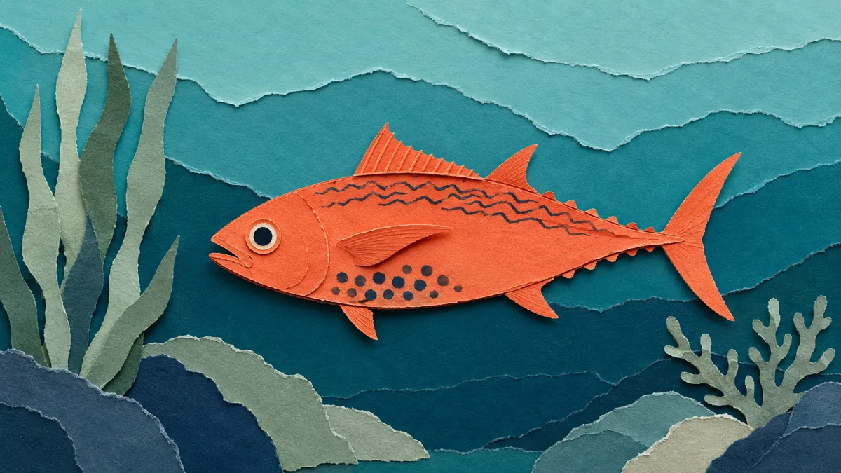Illustrazione papercut di un alletterato con macchie scure tonde tra le pinne pettorali e ventrali e righe ondulate scure sul dorso, corpo piccolo
