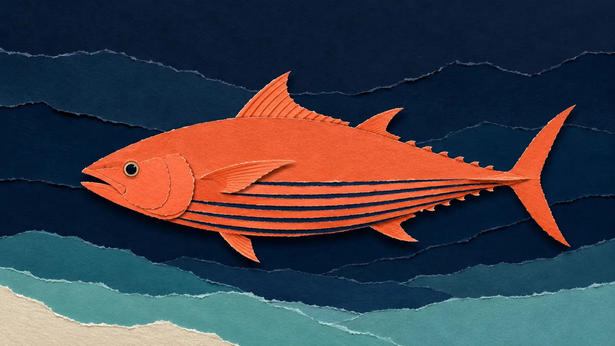 Illustrazione papercut di un tonnetto striato con quattro-sei strisce scure longitudinali lungo il ventre e i fianchi bassi, dorso pulito senza macchie
