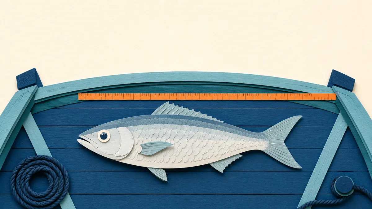 Illustrazione papercut di un pesce disteso sul ponte di una barca accanto a un metro adesivo arancione fissato lungo la falchetta, visto dall'alto