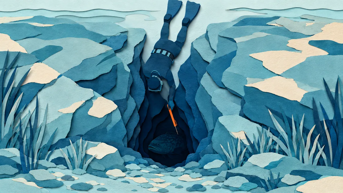 Illustrazione papercut di un anfratto scuro nella roccia con una cernia di carta appena visibile all interno e un subacqueo che si affaccia dall alto a testa in giù