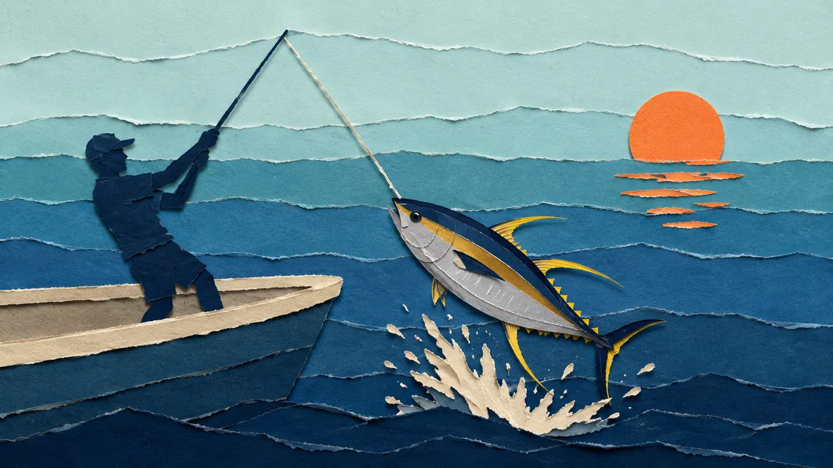 Tonno albacora — Pesca e rapporto con l'uomo