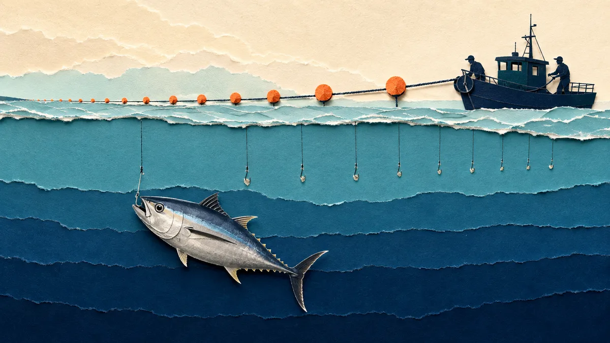 Tonno alalunga — Pesca e rapporto con l'uomo
